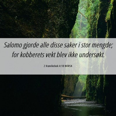 Picture 06 - 2 Krønikebok 4:18 NORSK - Salomo gjorde alle disse saker i stor mengde; for - Bible Verse Picture