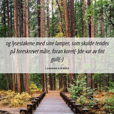 Picture 06 - 2 Krønikebok 4:20 NORSK - og lysestakene med sine lamper, som skulde tendes - Bible Verse Picture