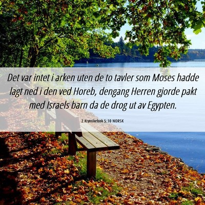 Picture 06 - 2 Krønikebok 5:10 NORSK - Det var intet i arken uten de to tavler som Moses - Bible Verse Picture