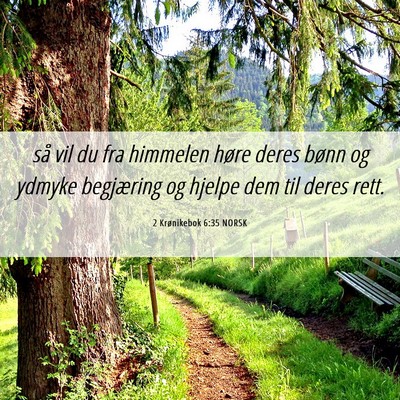 Picture 06 - 2 Krønikebok 6:35 NORSK - så vil du fra himmelen høre deres bønn og - Bible Verse Picture