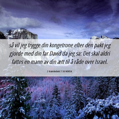 Picture 06 - 2 Krønikebok 7:18 NORSK - så vil jeg trygge din kongetrone efter den pakt - Bible Verse Picture