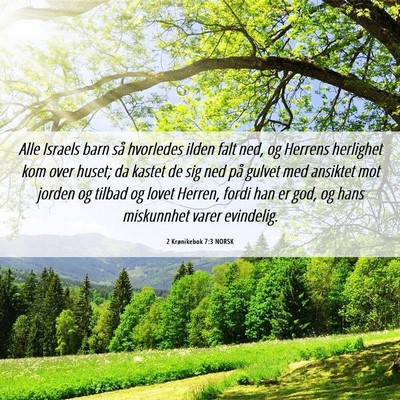 Picture 06 - 2 Krønikebok 7:3 NORSK - Alle Israels barn så hvorledes ilden falt ned, - Bible Verse Picture
