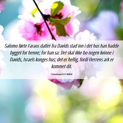 Picture 06 - 2 Krønikebok 8:11 NORSK - Salomo førte Faraos datter fra Davids stad inn i - Bible Verse Picture