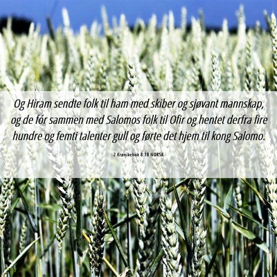 Picture 06 - 2 Krønikebok 8:18 NORSK - Og Hiram sendte folk til ham med skiber og - Bible Verse Picture