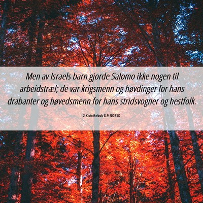 Picture 06 - 2 Krønikebok 8:9 NORSK - Men av Israels barn gjorde Salomo ikke nogen til - Bible Verse Picture