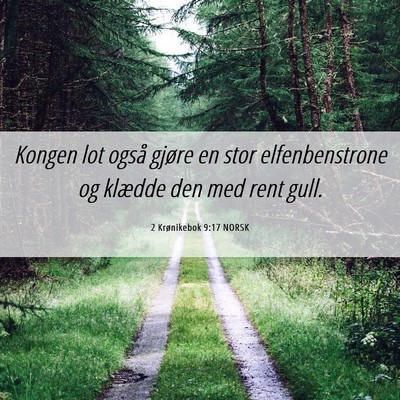 Picture 06 - 2 Krønikebok 9:17 NORSK - Kongen lot også gjøre en stor elfenbenstrone og - Bible Verse Picture