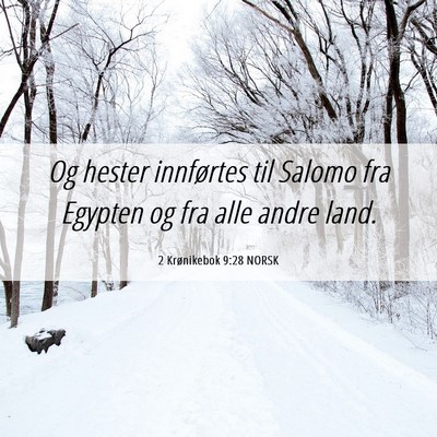 Picture 06 - 2 Krønikebok 9:28 NORSK - Og hester innførtes til Salomo fra Egypten og - Bible Verse Picture