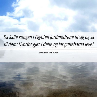 Picture 06 - 2 Mosebok 1:18 NORSK - Da kalte kongen i Egypten jordmødrene til sig og - Bible Verse Picture