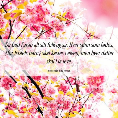 Picture 06 - 2 Mosebok 1:22 NORSK - Da bød Farao alt sitt folk og sa: Hver sønn som - Bible Verse Picture