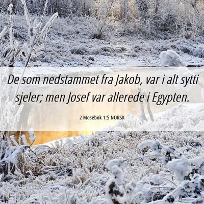 Picture 06 - 2 Mosebok 1:5 NORSK - De som nedstammet fra Jakob, var i alt sytti - Bible Verse Picture