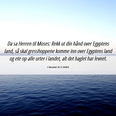 Picture 06 - 2 Mosebok 10:12 NORSK - Da sa Herren til Moses: Rekk ut din hånd over - Bible Verse Picture