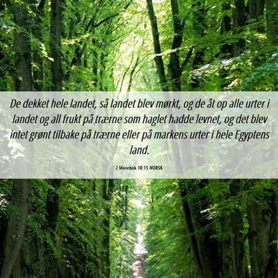 Picture 06 - 2 Mosebok 10:15 NORSK - De dekket hele landet, så landet blev mørkt, og - Bible Verse Picture