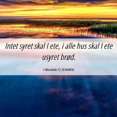 Picture 06 - 2 Mosebok 12:20 NORSK - Intet syret skal I ete, i alle hus skal I ete - Bible Verse Picture