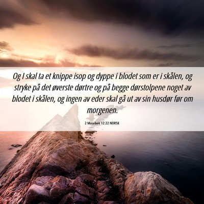 Picture 06 - 2 Mosebok 12:22 NORSK - Og I skal ta et knippe isop og dyppe i blodet som - Bible Verse Picture