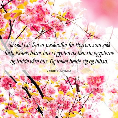 Picture 06 - 2 Mosebok 12:27 NORSK - da skal I si: Det er påskeoffer for Herren, som - Bible Verse Picture