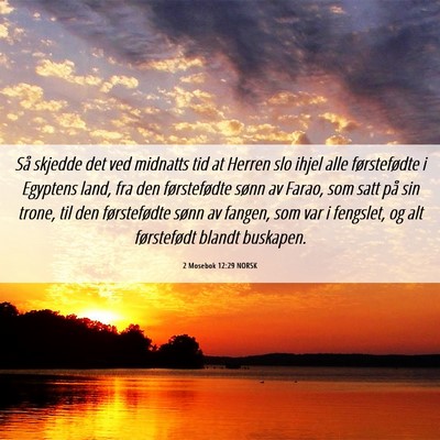 Picture 06 - 2 Mosebok 12:29 NORSK - Så skjedde det ved midnatts tid at Herren slo - Bible Verse Picture