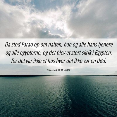 Picture 06 - 2 Mosebok 12:30 NORSK - Da stod Farao op om natten, han og alle hans - Bible Verse Picture