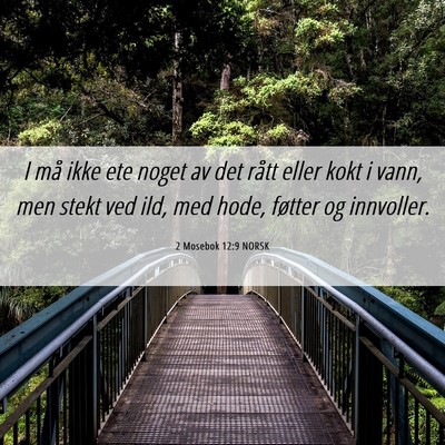 Picture 06 - 2 Mosebok 12:9 NORSK - I må ikke ete noget av det rått eller kokt i - Bible Verse Picture