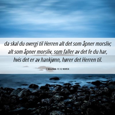 Picture 06 - 2 Mosebok 13:12 NORSK - da skal du overgi til Herren alt det som åpner - Bible Verse Picture