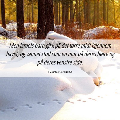 Picture 06 - 2 Mosebok 14:29 NORSK - Men Israels barn gikk på det tørre midt - Bible Verse Picture