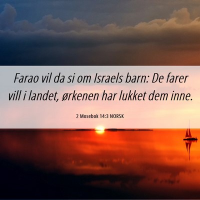 Picture 06 - 2 Mosebok 14:3 NORSK - Farao vil da si om Israels barn: De farer vill i - Bible Verse Picture