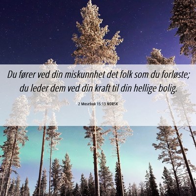 Picture 06 - 2 Mosebok 15:13 NORSK - Du fører ved din miskunnhet det folk som du - Bible Verse Picture