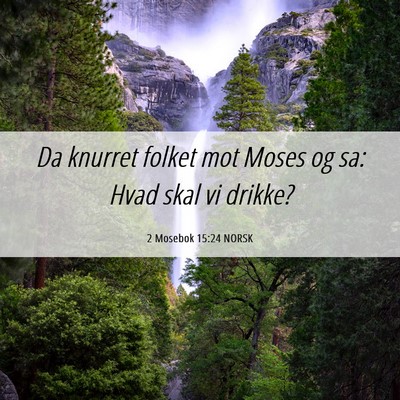 Picture 06 - 2 Mosebok 15:24 NORSK - Da knurret folket mot Moses og sa: Hvad skal vi - Bible Verse Picture