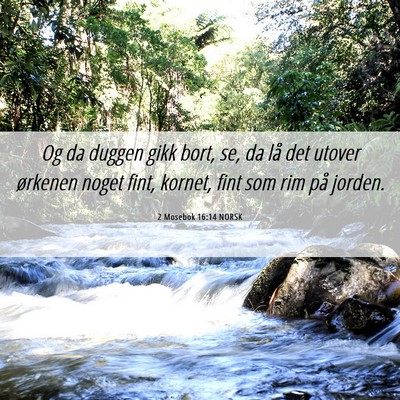 Picture 06 - 2 Mosebok 16:14 NORSK - Og da duggen gikk bort, se, da lå det utover - Bible Verse Picture