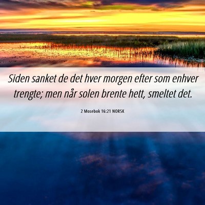 Picture 06 - 2 Mosebok 16:21 NORSK - Siden sanket de det hver morgen efter som enhver - Bible Verse Picture