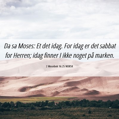Picture 06 - 2 Mosebok 16:25 NORSK - Da sa Moses: Et det idag. For idag er det sabbat - Bible Verse Picture