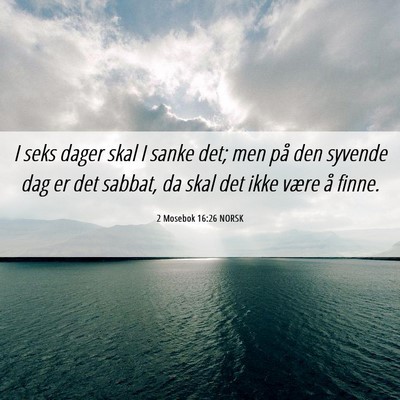 Picture 06 - 2 Mosebok 16:26 NORSK - I seks dager skal I sanke det; men på den - Bible Verse Picture