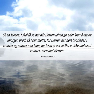 Picture 06 - 2 Mosebok 16:8 NORSK - Så sa Moses: I skal få se det når Herren - Bible Verse Picture