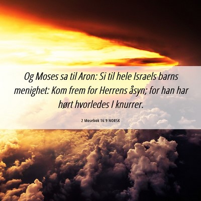 Picture 06 - 2 Mosebok 16:9 NORSK - Og Moses sa til Aron: Si til hele Israels barns - Bible Verse Picture