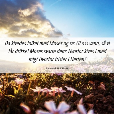 Picture 06 - 2 Mosebok 17:2 NORSK - Da kivedes folket med Moses og sa: Gi oss vann, - Bible Verse Picture
