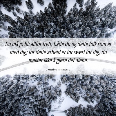 Picture 06 - 2 Mosebok 18:18 NORSK - Du må jo bli altfor trett, både du og dette - Bible Verse Picture