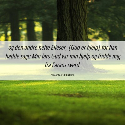 Picture 06 - 2 Mosebok 18:4 NORSK - og den andre hette Elieser, {Gud er hjelp} for - Bible Verse Picture