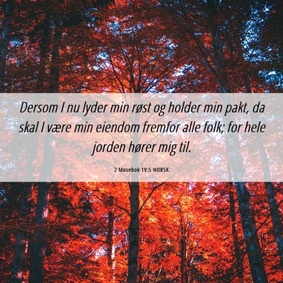 Picture 06 - 2 Mosebok 19:5 NORSK - Dersom I nu lyder min røst og holder min pakt, - Bible Verse Picture