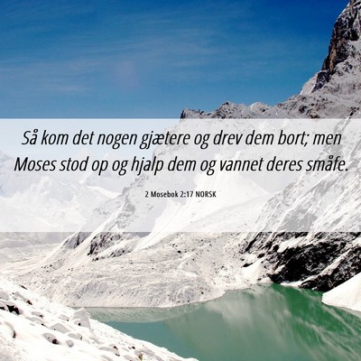 Picture 06 - 2 Mosebok 2:17 NORSK - Så kom det nogen gjætere og drev dem bort; men - Bible Verse Picture
