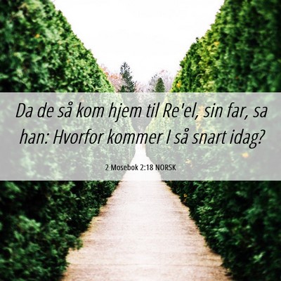 Picture 06 - 2 Mosebok 2:18 NORSK - Da de så kom hjem til Re'el, sin far, sa han: - Bible Verse Picture
