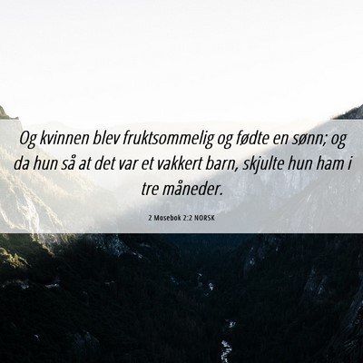 Picture 06 - 2 Mosebok 2:2 NORSK - Og kvinnen blev fruktsommelig og fødte en sønn; - Bible Verse Picture