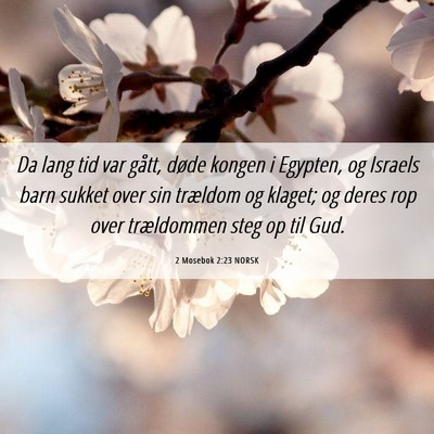 Picture 06 - 2 Mosebok 2:23 NORSK - Da lang tid var gått, døde kongen i Egypten, og - Bible Verse Picture