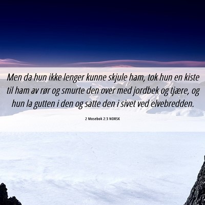 Picture 06 - 2 Mosebok 2:3 NORSK - Men da hun ikke lenger kunne skjule ham, tok hun - Bible Verse Picture