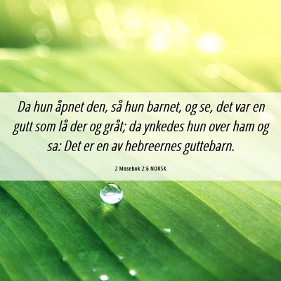 Picture 06 - 2 Mosebok 2:6 NORSK - Da hun åpnet den, så hun barnet, og se, det var - Bible Verse Picture