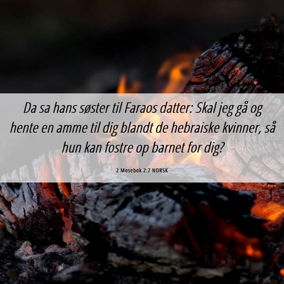 Picture 06 - 2 Mosebok 2:7 NORSK - Da sa hans søster til Faraos datter: Skal jeg - Bible Verse Picture