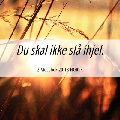 Picture 06 - 2 Mosebok 20:13 NORSK - Du skal ikke slå - Bible Verse Picture