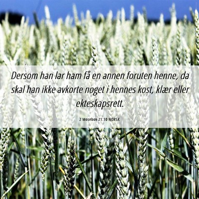Picture 06 - 2 Mosebok 21:10 NORSK - Dersom han lar ham få en annen foruten henne, da - Bible Verse Picture