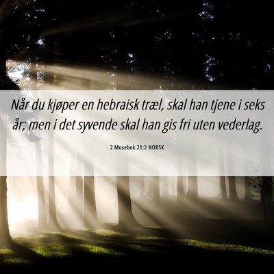 Picture 06 - 2 Mosebok 21:2 NORSK - Når du kjøper en hebraisk træl, skal han tjene - Bible Verse Picture