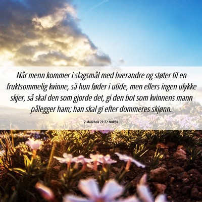 Picture 06 - 2 Mosebok 21:22 NORSK - Når menn kommer i slagsmål med hverandre og - Bible Verse Picture