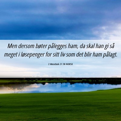 Picture 06 - 2 Mosebok 21:30 NORSK - Men dersom bøter pålegges ham, da skal han gi - Bible Verse Picture
