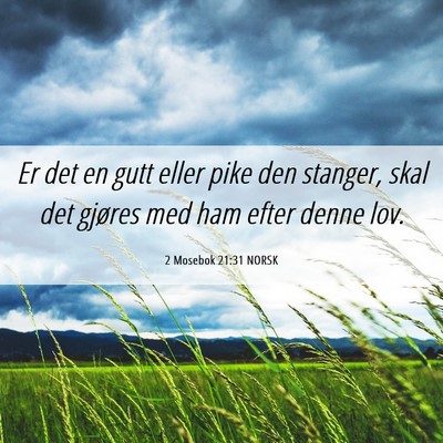 Picture 06 - 2 Mosebok 21:31 NORSK - Er det en gutt eller pike den stanger, skal det - Bible Verse Picture